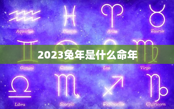 2023兔年是什么命年，2023年为什么是黑兔年