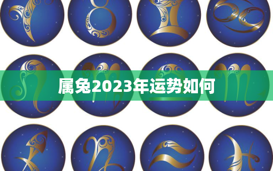 属兔2023年运势如何，76年属兔2023年运势如何