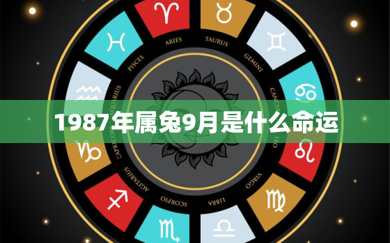 1987年属兔9月是什么命运，1987年9月份属兔是什么命