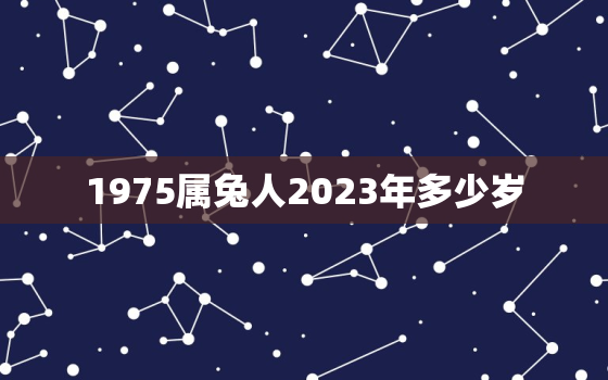 1975属兔人2023年多少岁，1975属兔2023年49岁以后运气