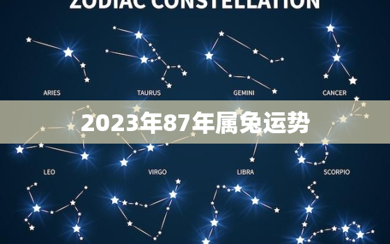 2023年87年属兔运势，87年兔子2023年运势