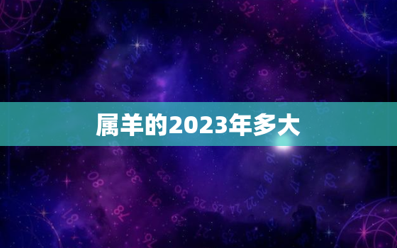 属羊的2023年多大，03年属羊的2023年多大