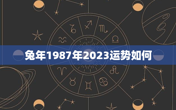 兔年1987年2023运势如何，1987年属兔的人2023年运势怎么样