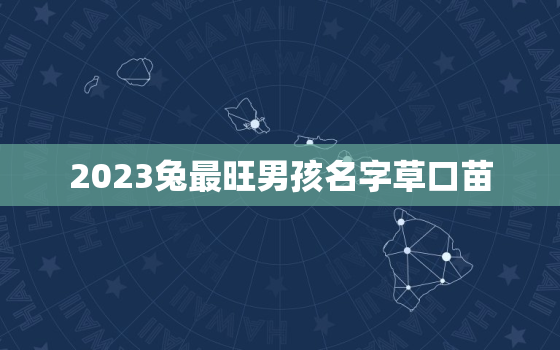 2023兔最旺男孩名字草口苗，为属兔男孩有水有草的名字