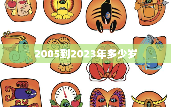 2005到2023年多少岁，2005到2029年多少岁