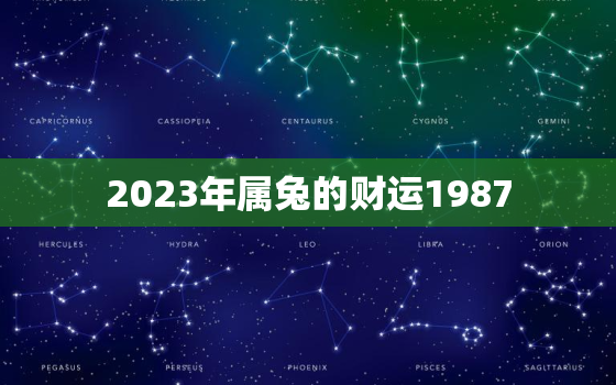 2023年属兔的财运1987，2023年87年兔