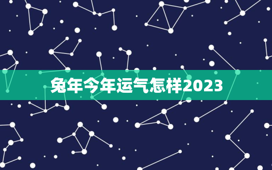 兔年今年运气怎样2023，兔年今年运气怎样2020