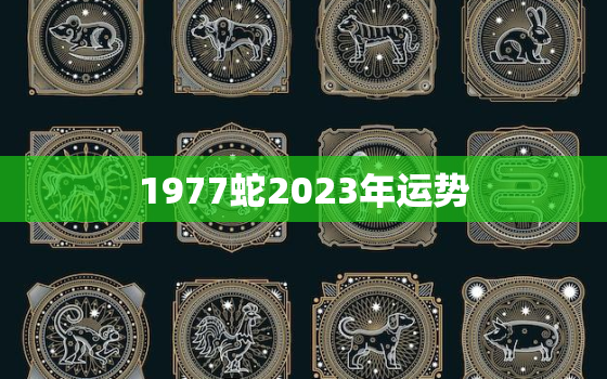 1977蛇2023年运势
，1977年属蛇2023运势