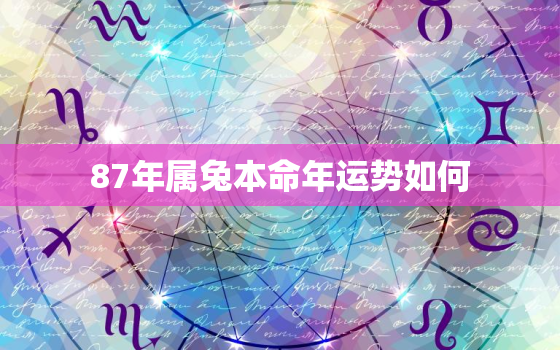 87年属兔本命年运势如何，2022年属兔下半年要出大事