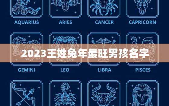 2023王姓兔年最旺男孩名字，王姓女孩兔宝宝姓名