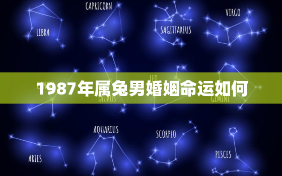 1987年属兔男婚姻命运如何，1987年属兔男的婚姻状况