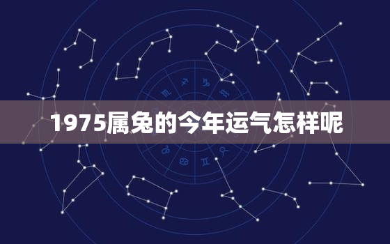 1975属兔的今年运气怎样呢，1975属兔的今年运气怎样呢女