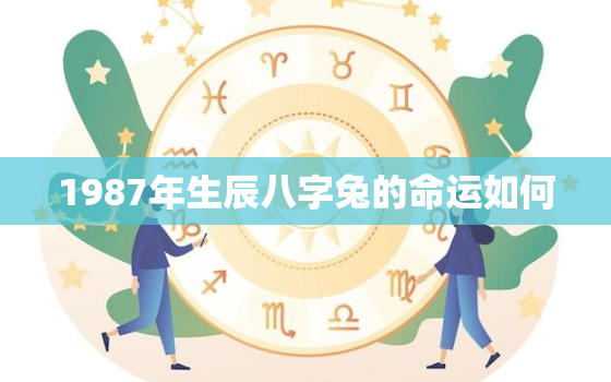 1987年生辰八字兔的命运如何，1987年属兔的八字