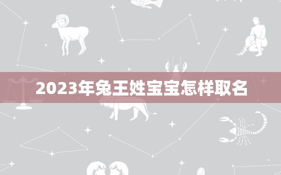 2023年兔王姓宝宝怎样取名，姓王的兔宝宝男孩名字大全免费