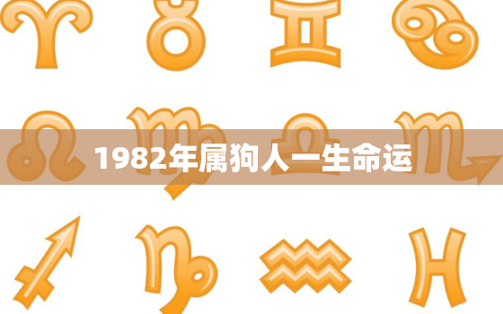 1982年属狗人一生命运，1982年属狗人一生命运怎么样