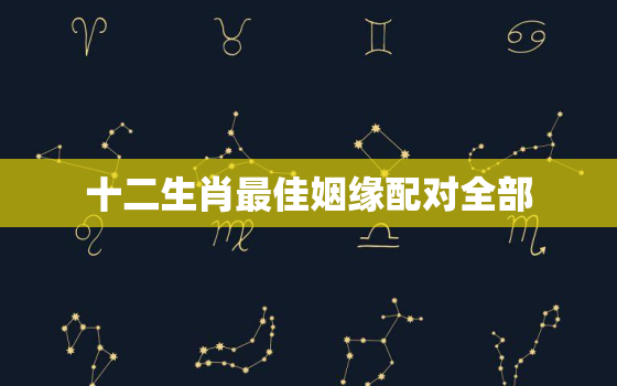 十二生肖最佳姻缘配对全部，十二生肖的最佳姻缘