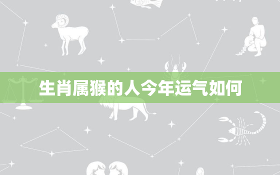 生肖属猴的人今年运气如何，属猴的人今年运势如何