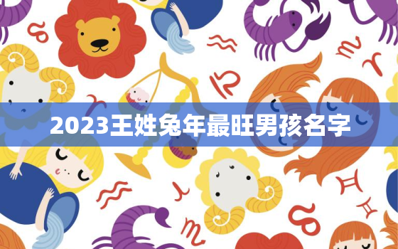 2023王姓兔年最旺男孩名字，王姓兔宝宝名字大全