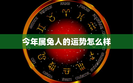 今年属兔人的运势怎么样，今年属兔的运气咋样