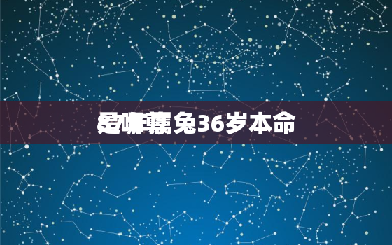 87年属兔36岁本命
是哪尊，87年属兔36岁本命
是哪尊
