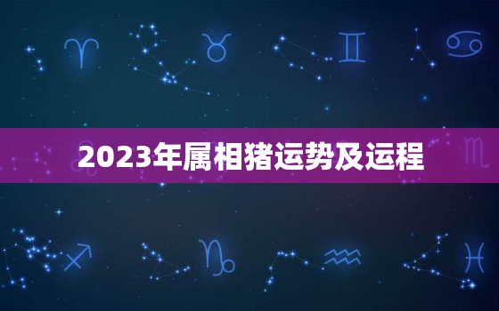 2023年属相猪运势及运程，2023年属相猪运势及运程
