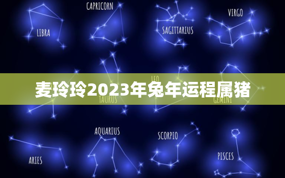 麦玲玲2023年兔年运程属猪，麦玲玲2020年属兔运程