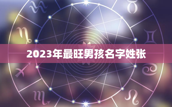 2023年最旺男孩名字姓张，2022年姓张的男孩取什么名字好