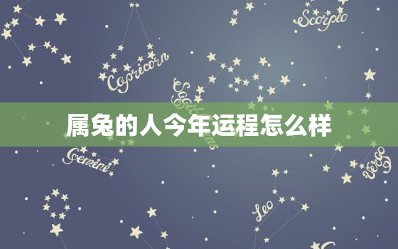 属兔的人今年运程怎么样，属兔的人今年的运势如何