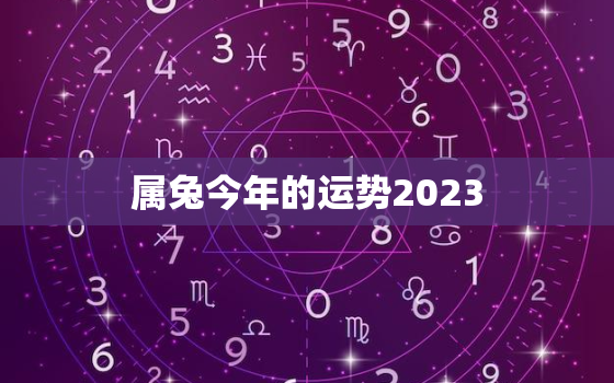 属兔今年的运势2023，属兔今年的运势2020