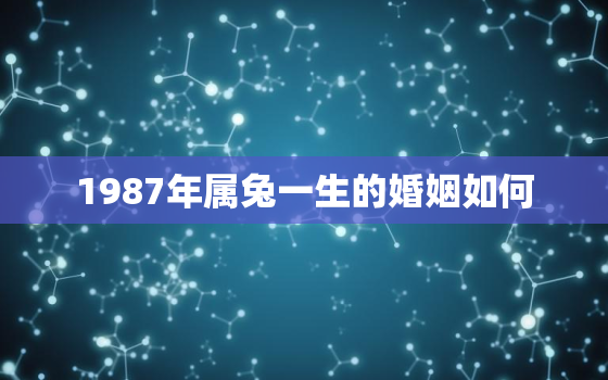 1987年属兔一生的婚姻如何，1987属兔的一生婚姻状况