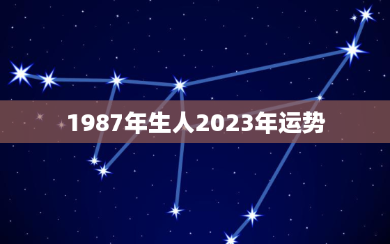 1987年生人2023年运势，1987年属兔2023年运势每月运势