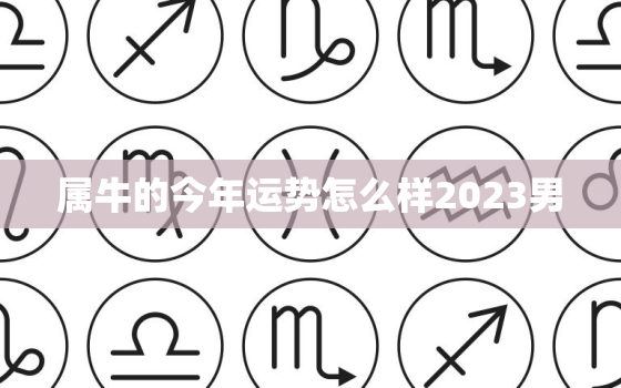 属牛的今年运势怎么样2023男，属牛人2023全年运势详解