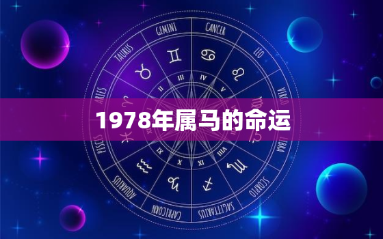 1978年属马的命运，1978年属马的命运和性格