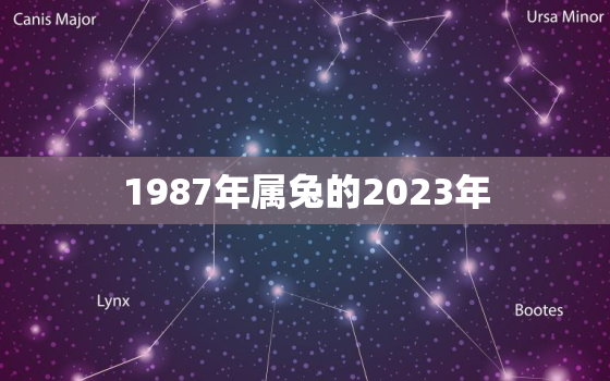 1987年属兔的2023年，1987年兔子是什么命