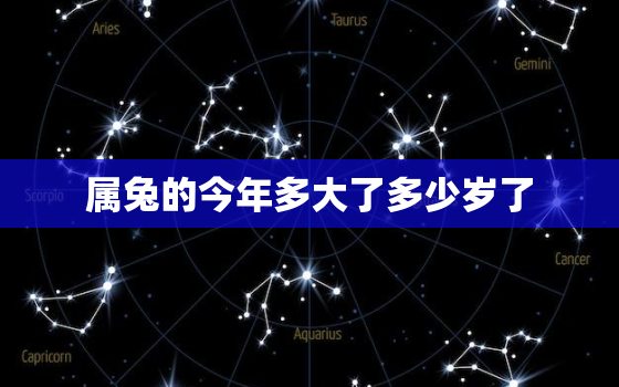 属兔的今年多大了多少岁了，属兔的今年多大岁数啦