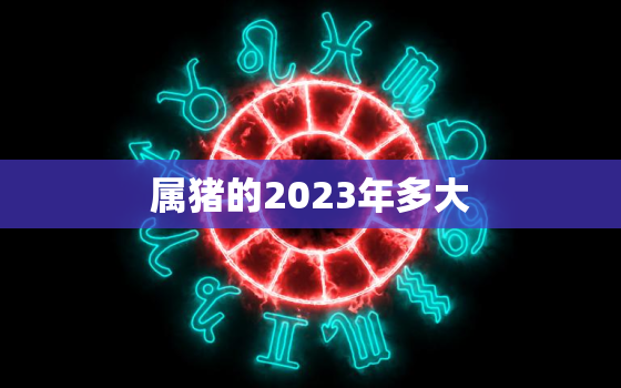 属猪的2023年多大，83年属猪的2023年多大