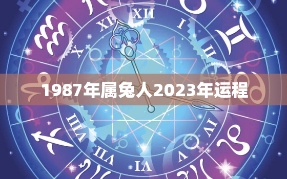 1987年属兔人2023年运程，1987年2023年属兔人的全年运势