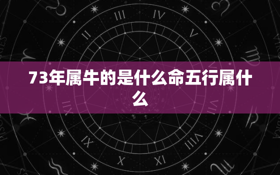 73年属牛的是什么命五行属什么，73年属牛五行