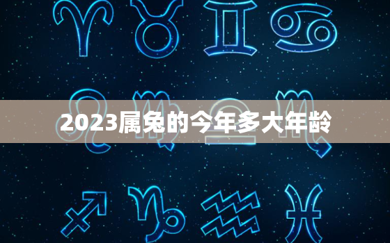 2023属兔的今年多大年龄，2023年兔多少岁