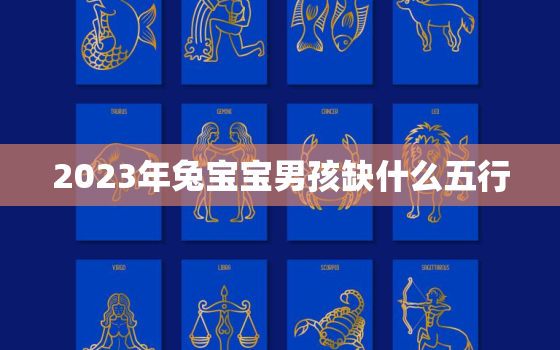 2023年兔宝宝男孩缺什么五行，2023年兔宝宝什么命属五行属什么