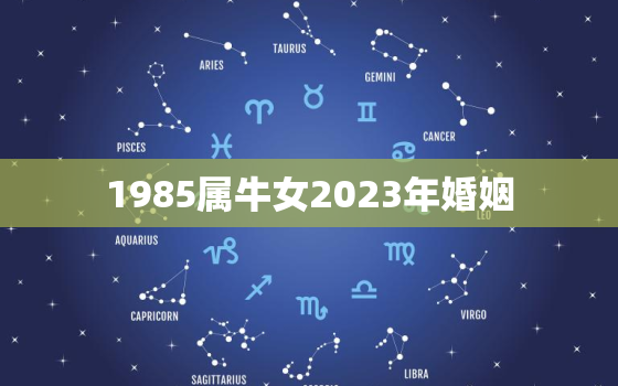 1985属牛女2023年婚姻，1985属牛的2023年运势如何