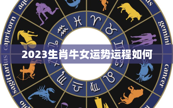 2023生肖牛女运势运程如何，属牛女2023