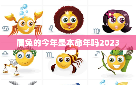 属兔的今年是本命年吗2023，属兔的今年是本命年吗2023