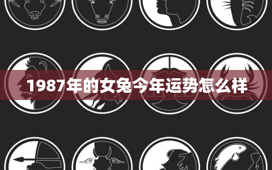 1987年的女兔今年运势怎么样，1987年的属兔女人2021年怎么样