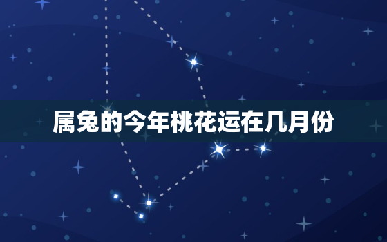 属兔的今年桃花运在几月份，属兔最近桃花运