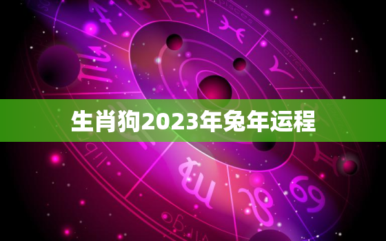 生肖狗2023年兔年运程，生肖狗2023年兔年运程详解