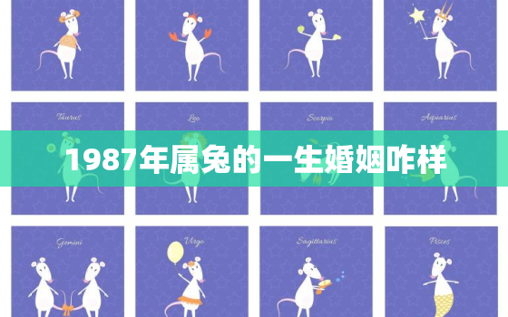 1987年属兔的一生婚姻咋样，1987年属兔的婚姻和命运如何