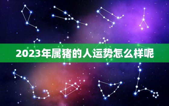 2023年属猪的人运势怎么样呢，2023年属猪的人运势怎么样呢女生