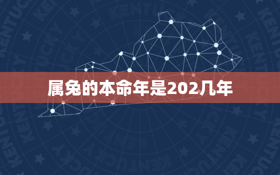 属兔的本命年是202几年，属兔的本命年是多少岁