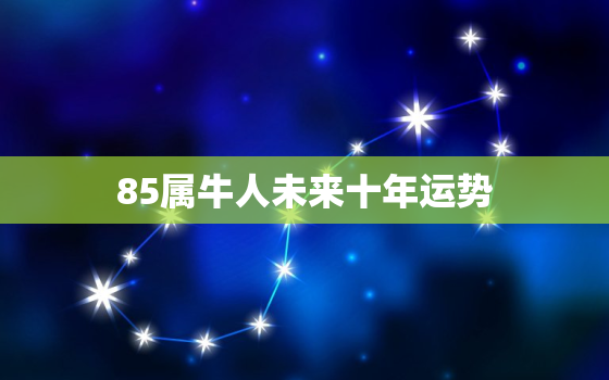 85属牛人未来十年运势，85属牛人2021